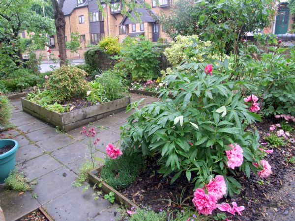 Michael Anthony Hemel Hempstead - BOXMOOR - FRONT GARDEN